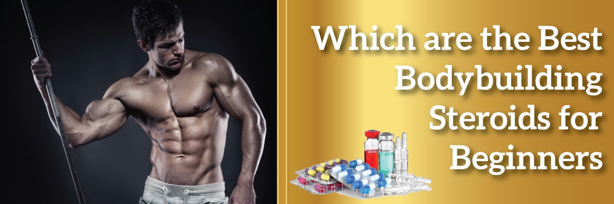Which are the best bodybuilding steroids for beginners