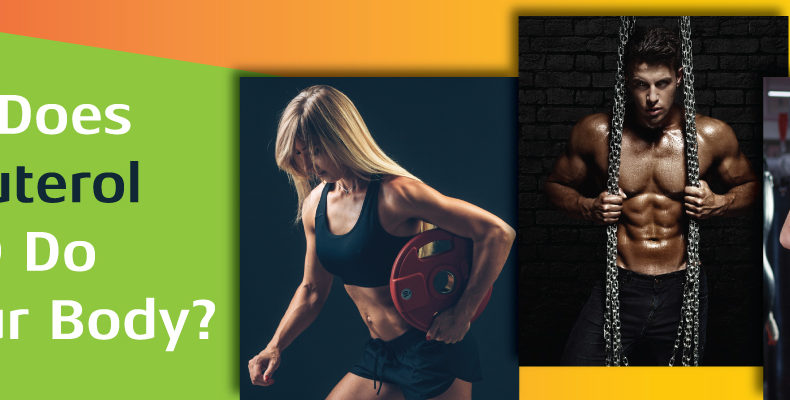 What does Clenbuterol (CLEN) do to your body?