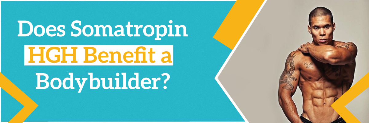 Does Somatropin HGH benefit a bodybuilder?