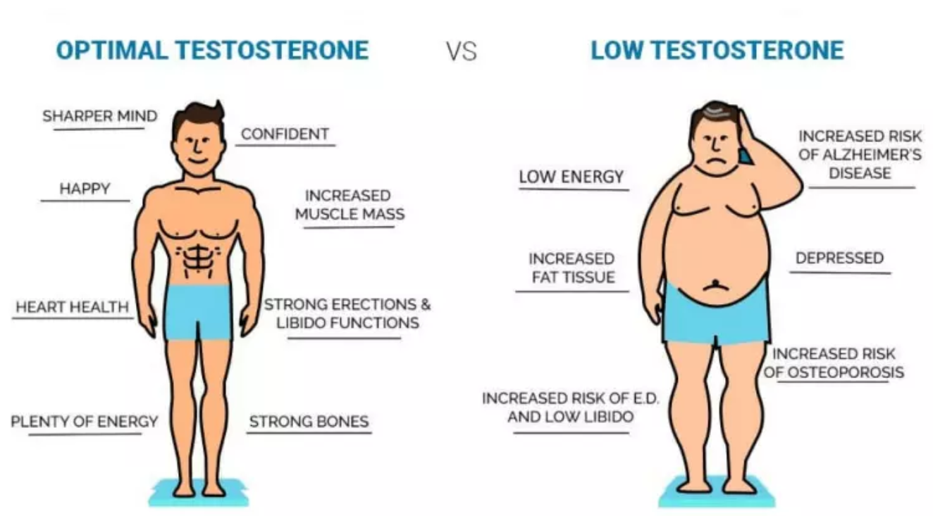 High v low testosterone