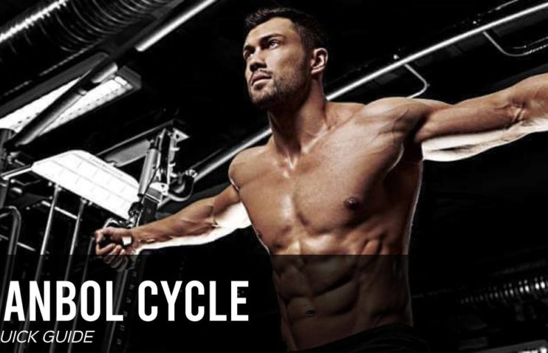Dianabol Cycle