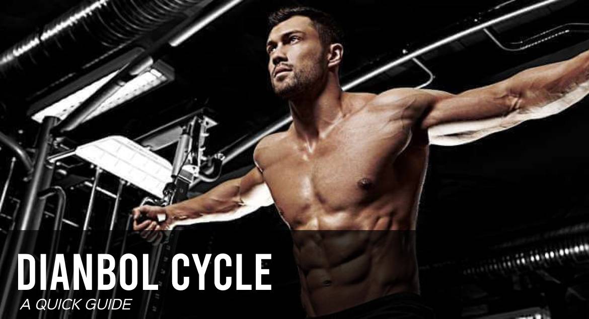 Dianabol Cycle