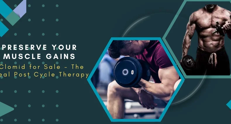Preserve Your Muscle Gains Clomid for Sale—The Ideal Post-Cycle Therapy