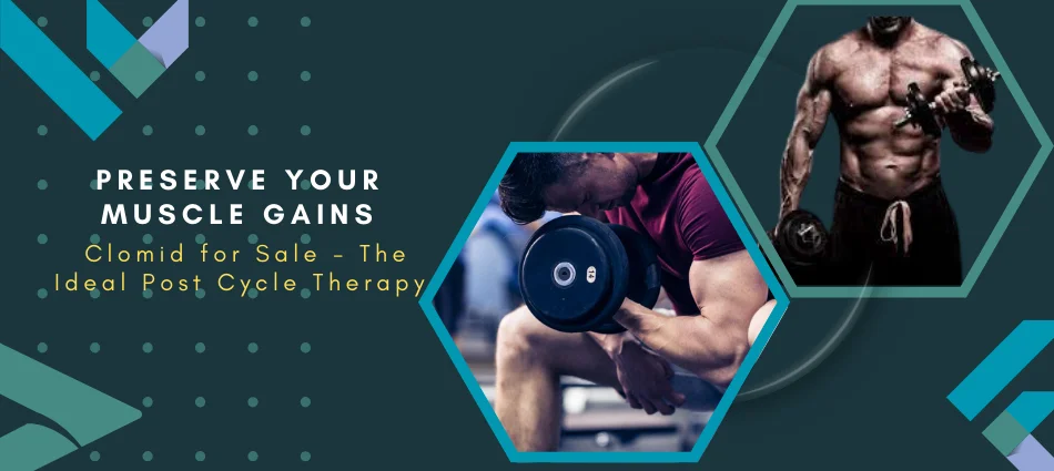 Preserve Your Muscle Gains Clomid for Sale—The Ideal Post-Cycle Therapy