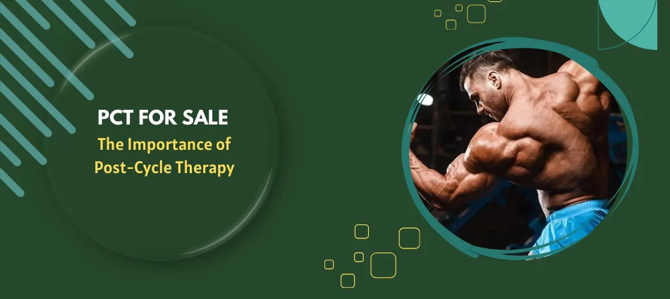 PCT for Sale The Importance of Post-Cycle Therapy