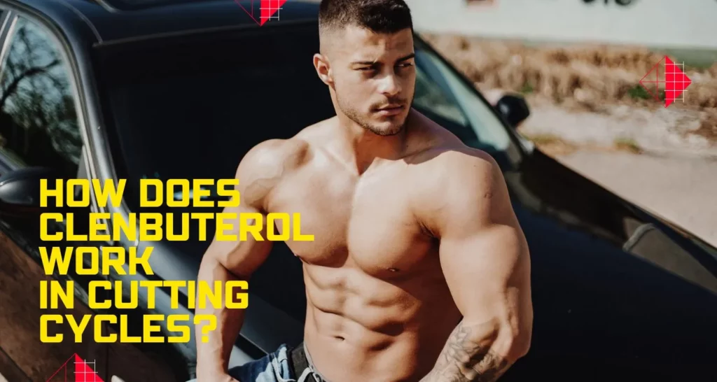 3 | UK Steroids Shop