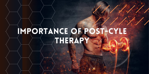 certificate-of | UK Steroids Shop