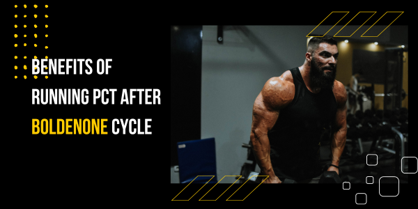 Benefits-of-running-PCT-after-boldenone-cycle | UK Steroids Shop