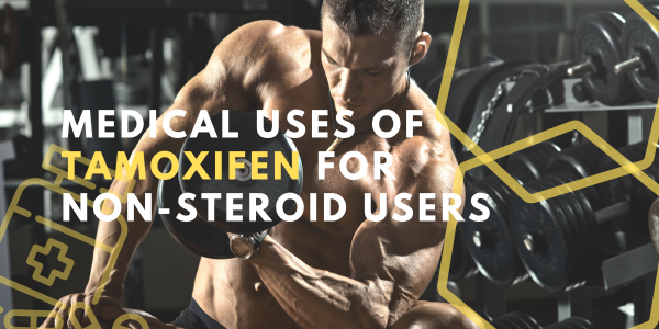 Medical-uses-of-Tamoxifen-for-non-steroid-users | UK Steroids Shop