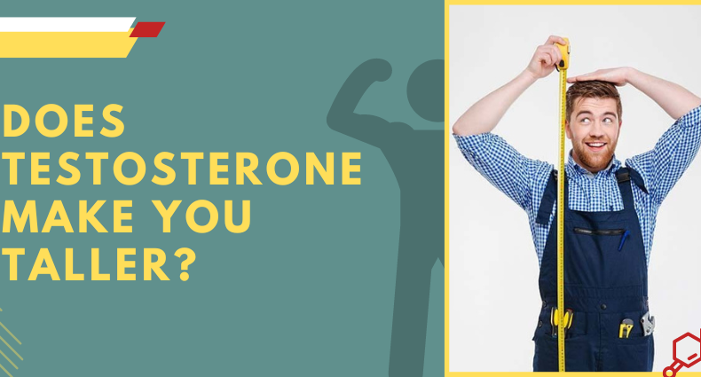 Does Testosterone Make You Taller