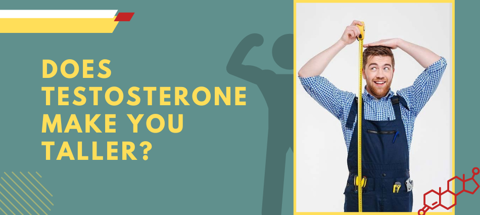 Does Testosterone Make You Taller