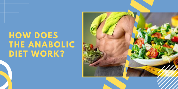 How-does-the-anabolic-diet-work | UK Steroids Shop