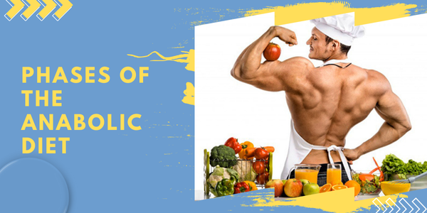 Phases-of-the-Anabolic-Diet | UK Steroids Shop