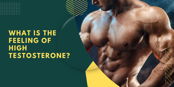 What-Is-the-Feeling-of-High-Testosterone | UK Steroids Shop