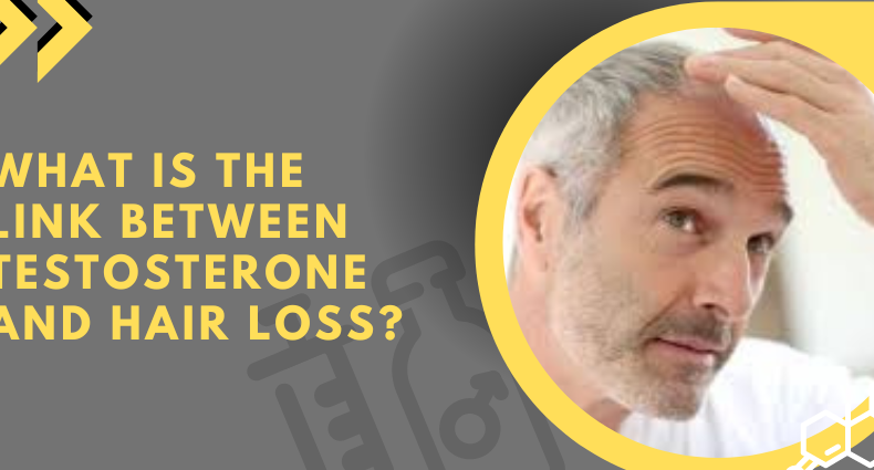 What is the link between testosterone and hair loss
