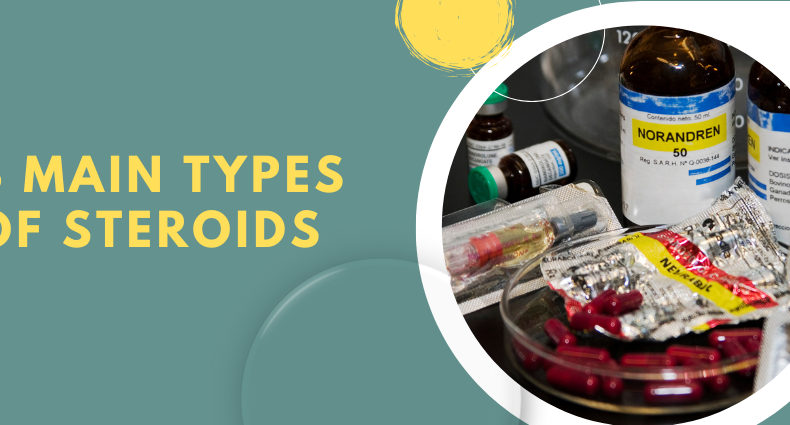 3 Main Types of Steroids