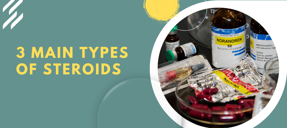 3 Main Types of Steroids