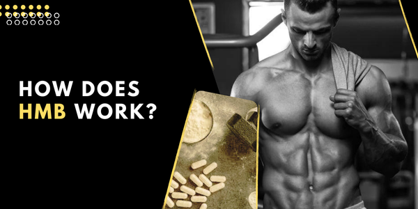 How does HMB work | UK Steroids Shop