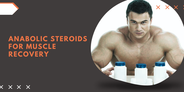 Anabolic Steroids for Muscle Recovery | UK Steroids Shop