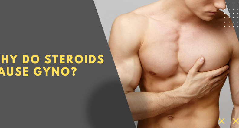 Why do steroids cause gyno