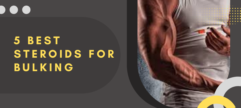5 Best Steroids for Bulking