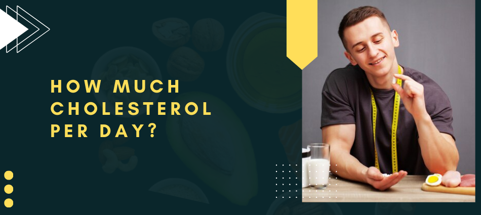 How Much Cholesterol Per Day
