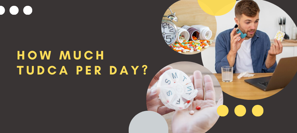 How much Tudca per day