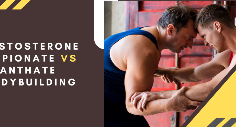 Testosterone cypionate vs enanthate bodybuilding