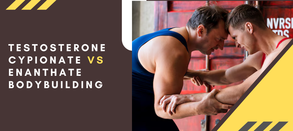 Testosterone cypionate vs enanthate bodybuilding