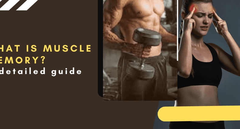 What is muscle memory
