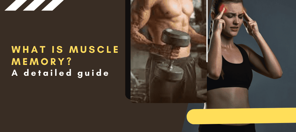 What is muscle memory
