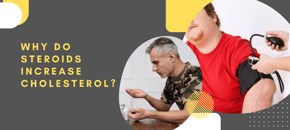 Why Do Steroids Increase Cholesterol