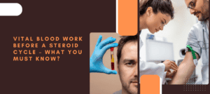 Vital Blood Work Before a Steroid Cycle What You Must Know