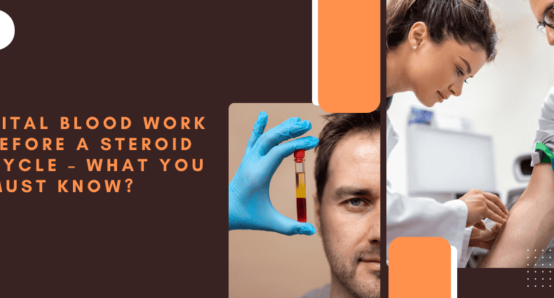 Vital Blood Work Before a Steroid Cycle What You Must Know