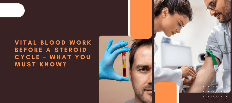 Vital Blood Work Before a Steroid Cycle What You Must Know